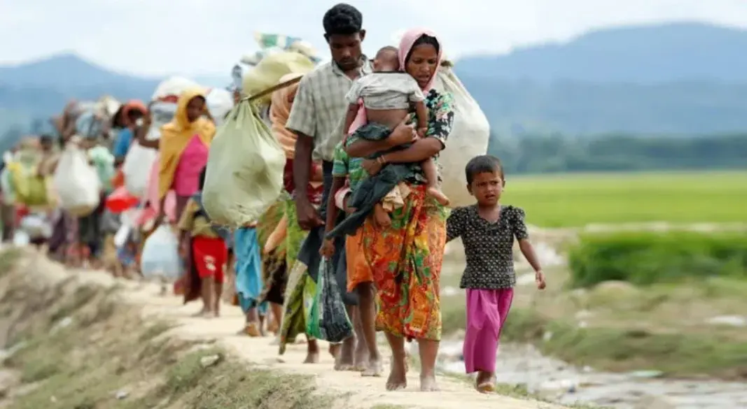 ফাইল ছবি।