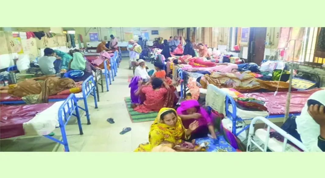 ছবি : সংগৃহীত