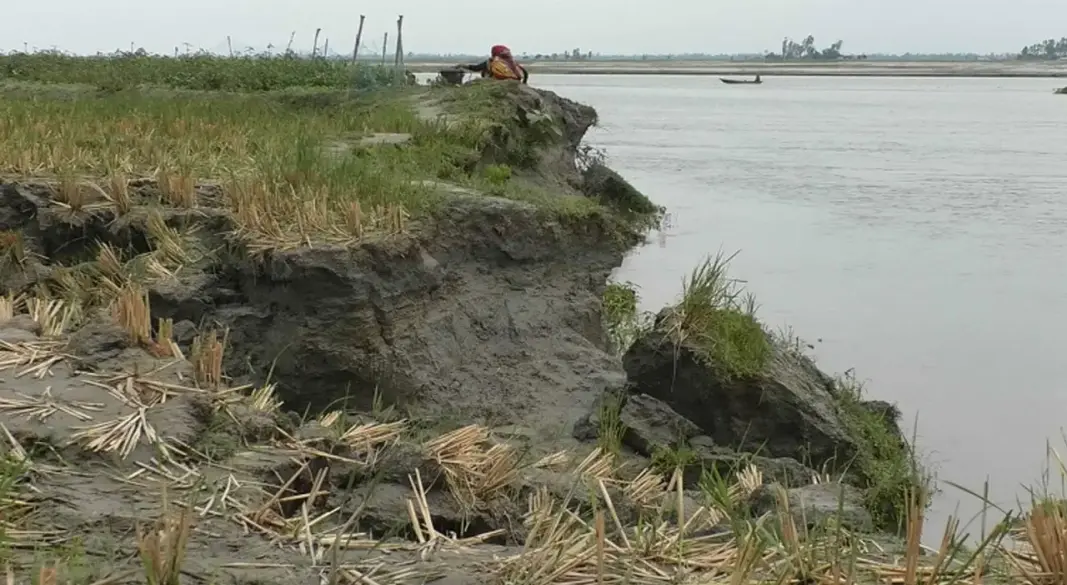 ছবি : সংগৃহীত