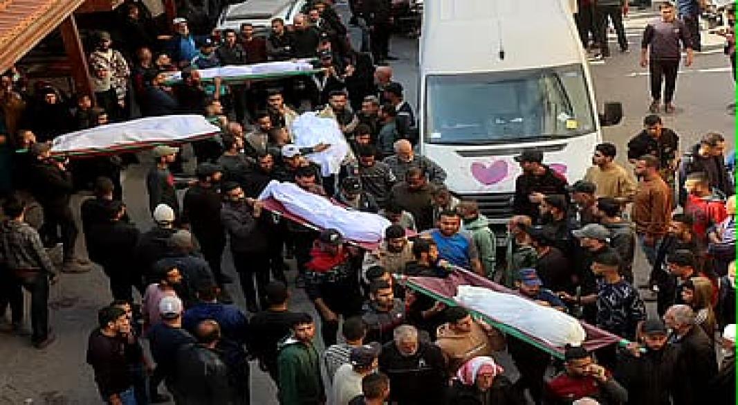 ছবি : সংগৃহীত