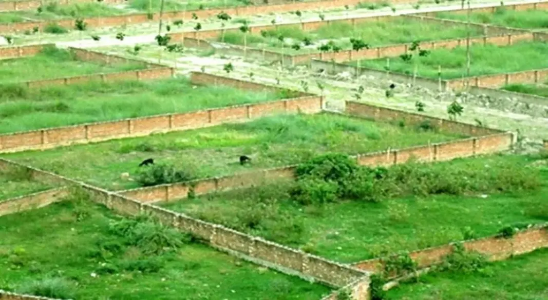 সংগৃহীত