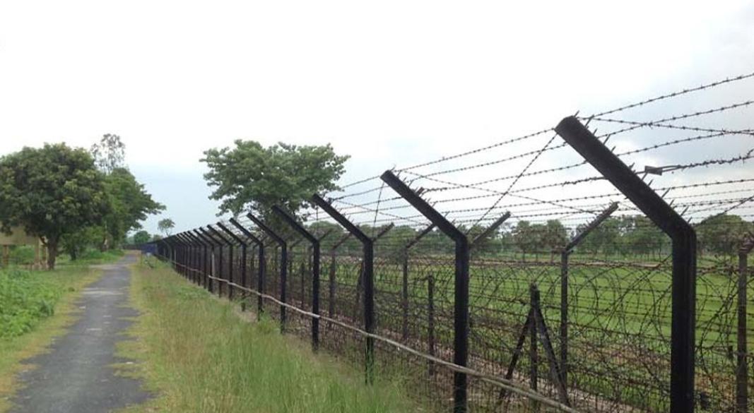 ফাইল ছবি