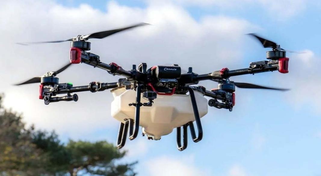 প্রতীকী ছবি