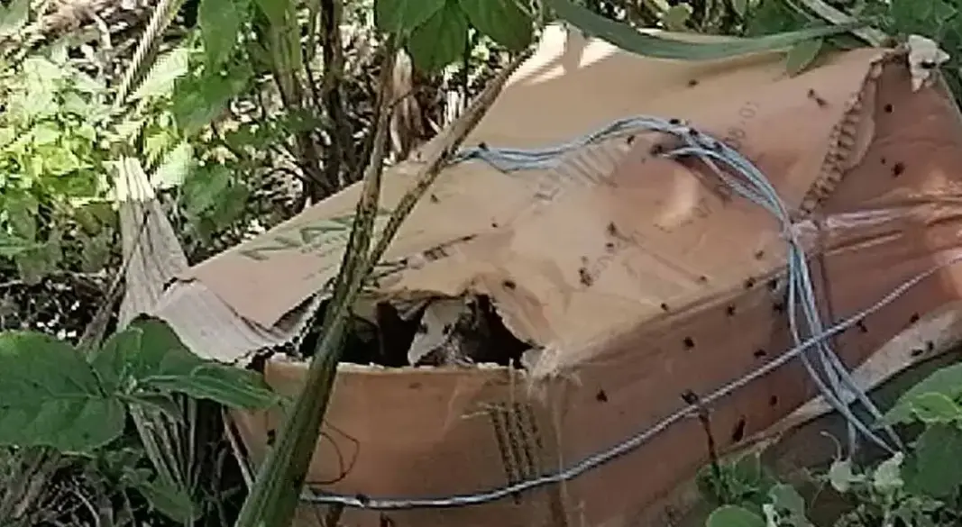 ছবি: সংগৃহীত