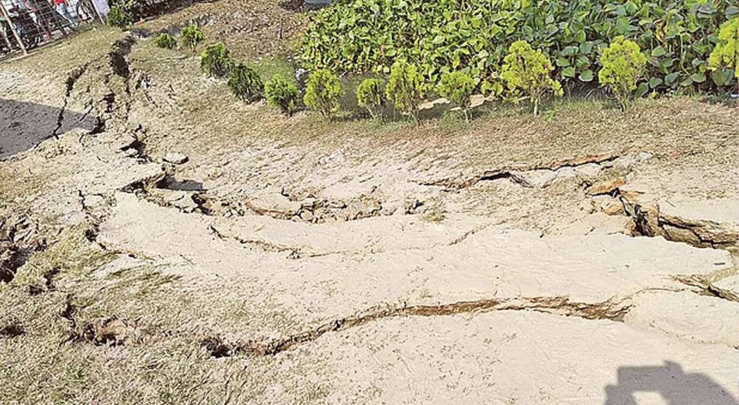 ছবি : সংগৃহীত