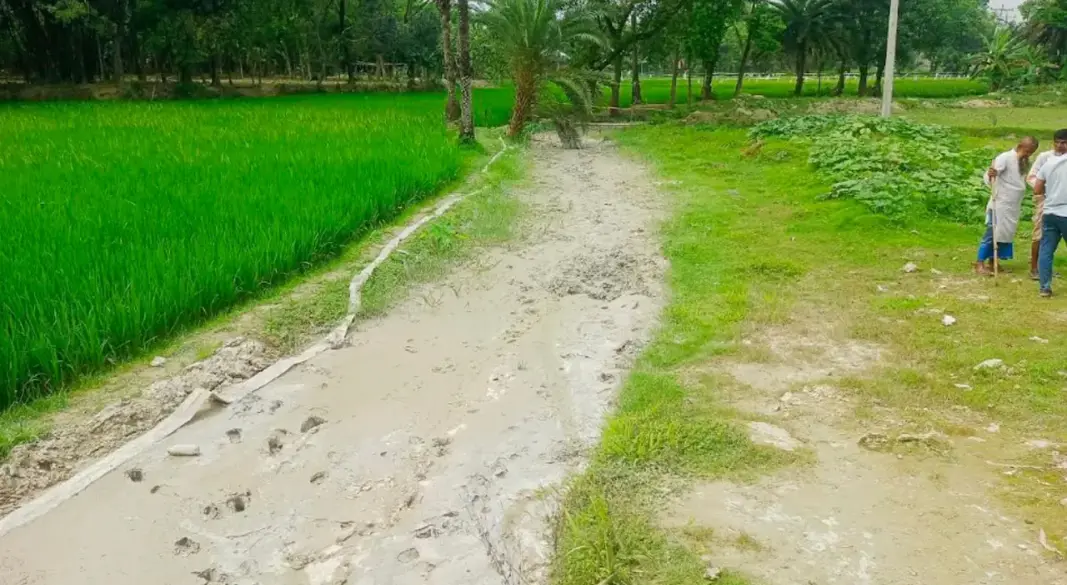 ছবি : সংগৃহীত