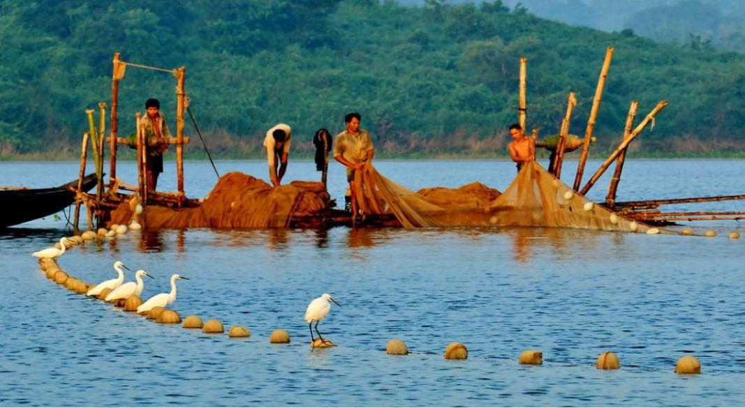 সংগৃহীত ছবি