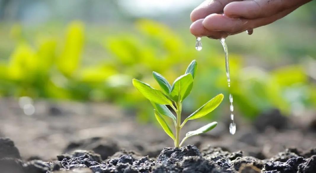 ছবি—সংগৃহীত