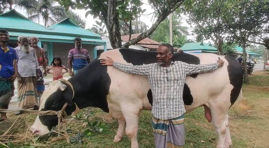 ছবি : সংগৃহীত