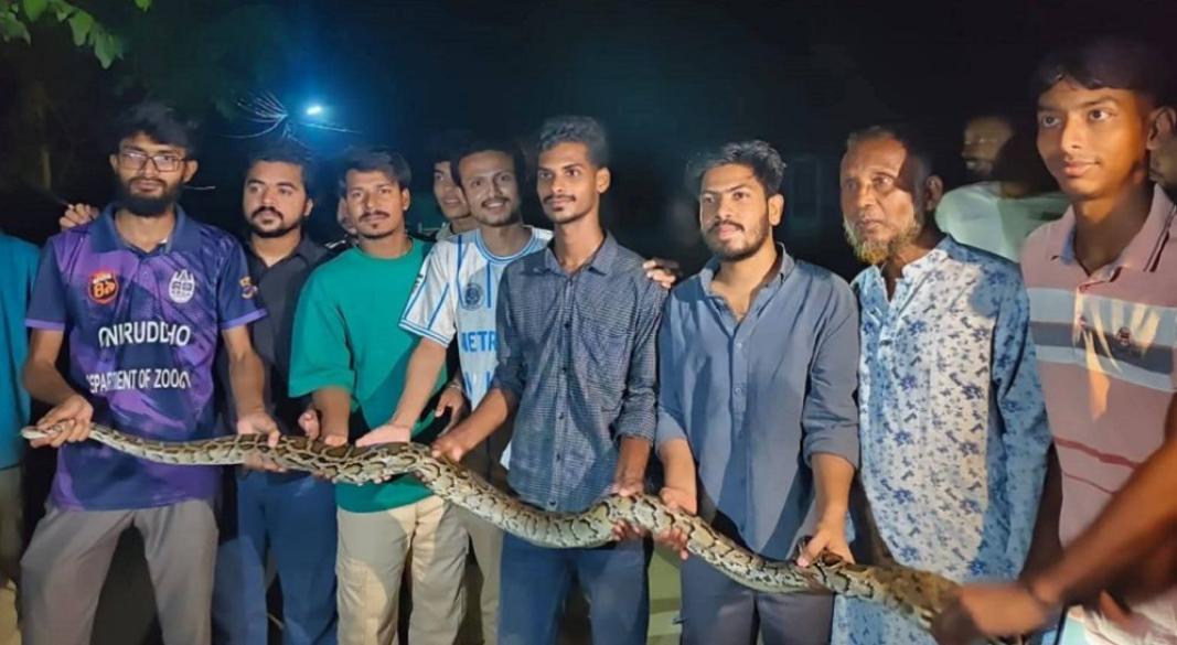 ছবি: সংগৃহীত