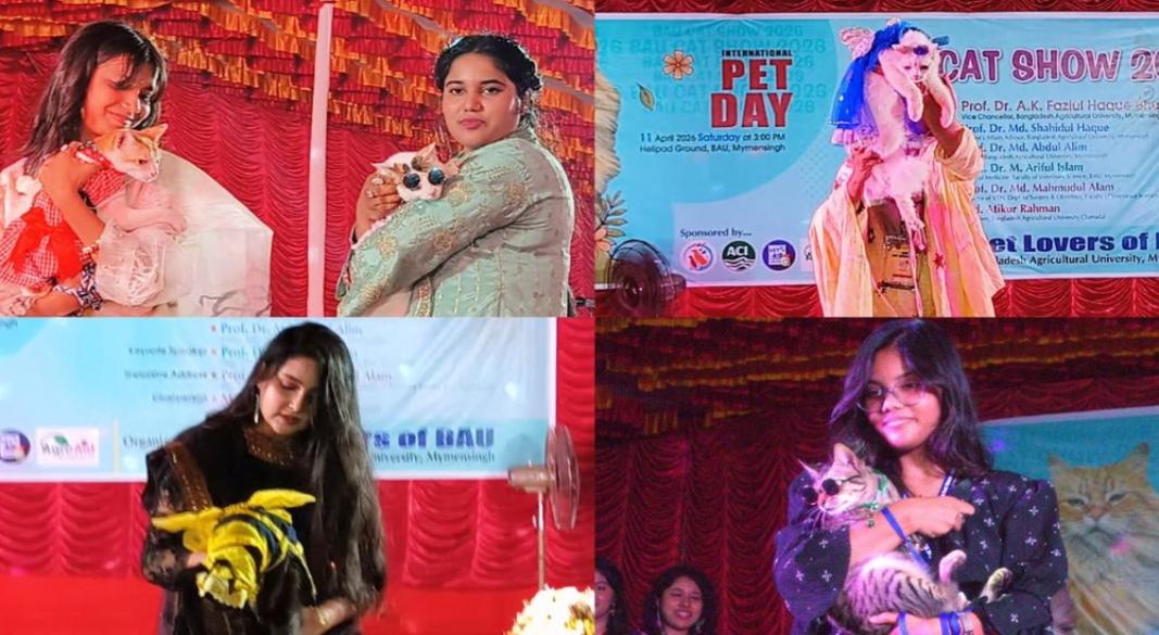 ছবি : সংগৃহীত