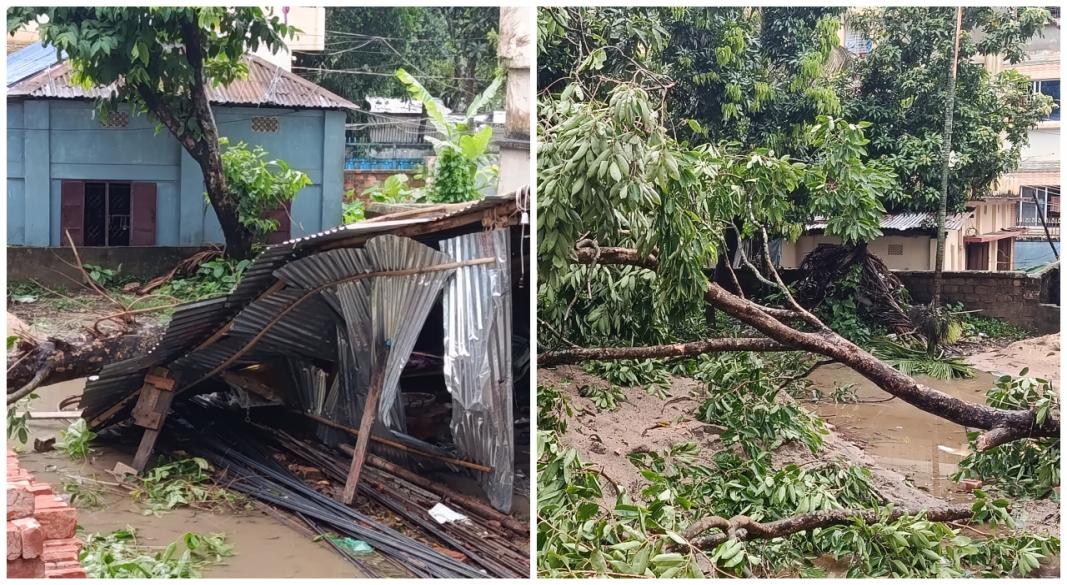 ছবি : সংগৃহীত