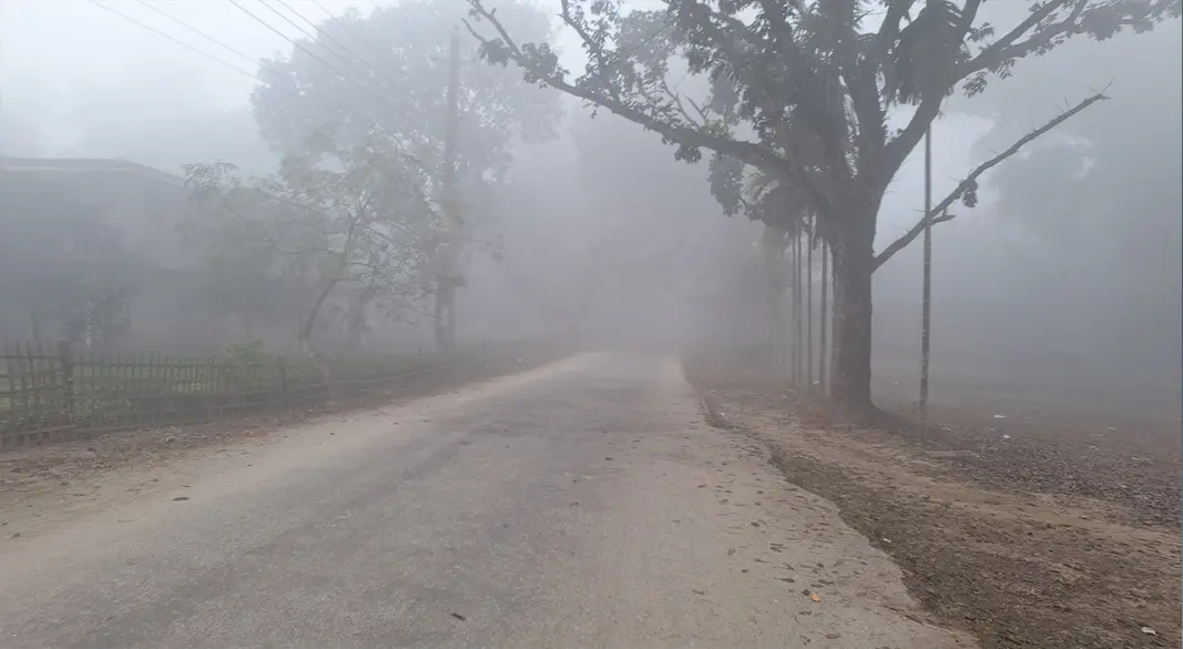 কুয়াশায় ঢেকে গেছে চারপাশ। ছবি : সংগৃহীত