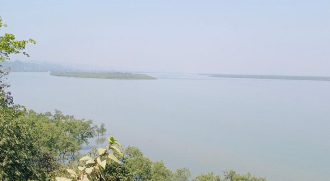 ছবি : সংগৃহীত