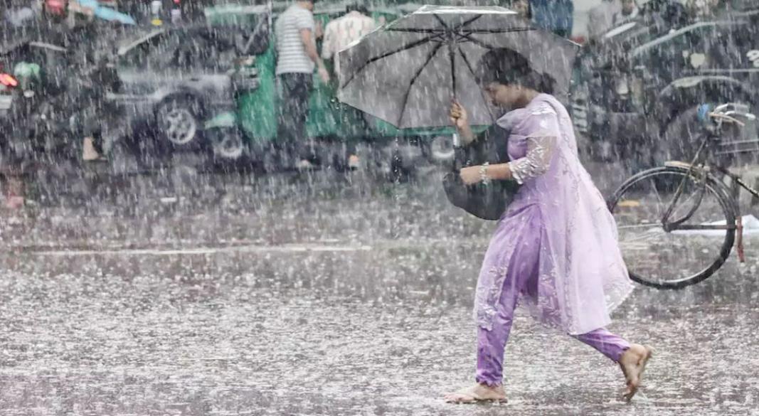 সংগৃহীত ছবি