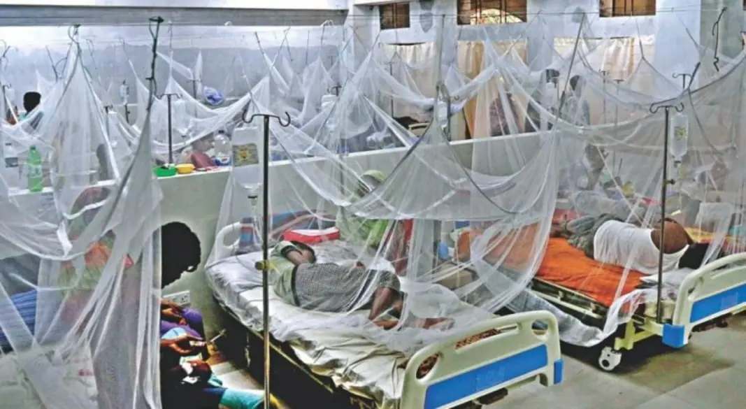 স্বাস্থ্য অধিদপ্তর থেকে পাঠানো ডেঙ্গুবিষয়ক নিয়মিত বিজ্ঞপ্তিতে এ তথ্য জানানো হয়েছে। ফাইল ছবি