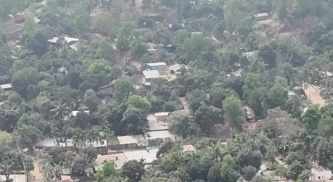 জঙ্গল সলিমপুর। ছবি : সংগৃহীত