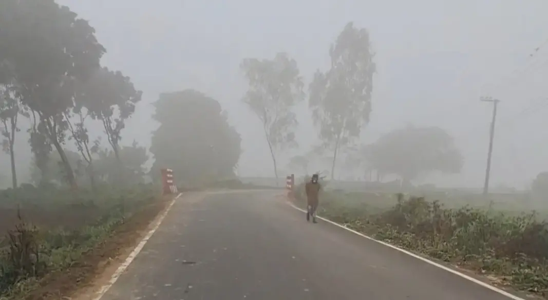 ছবি : সংগৃহীত