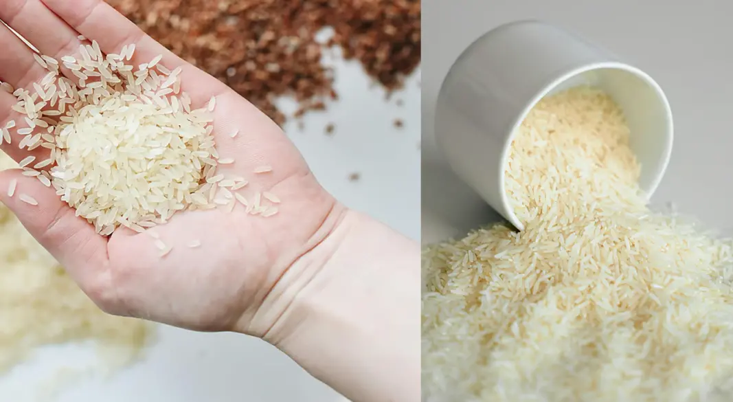 স্বাস্থ্যের দিক থেকে কোন চাল বেশি উপকারী, এই প্রশ্নের উত্তর জানেন না অনেকেই | ছবি : সংগৃহীত