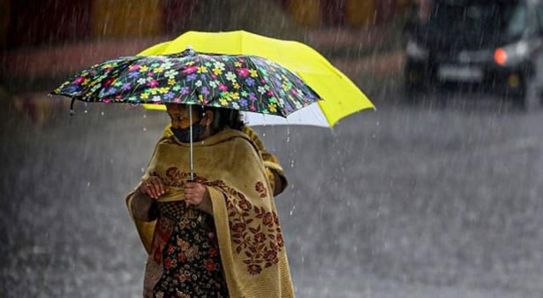 ছবি : সংগৃহীত