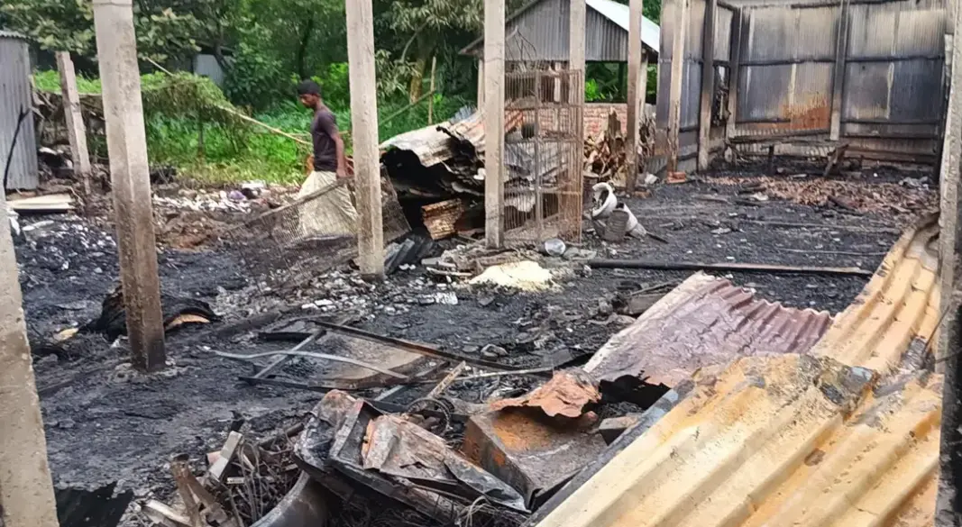 ছবি: সংগৃহীত
