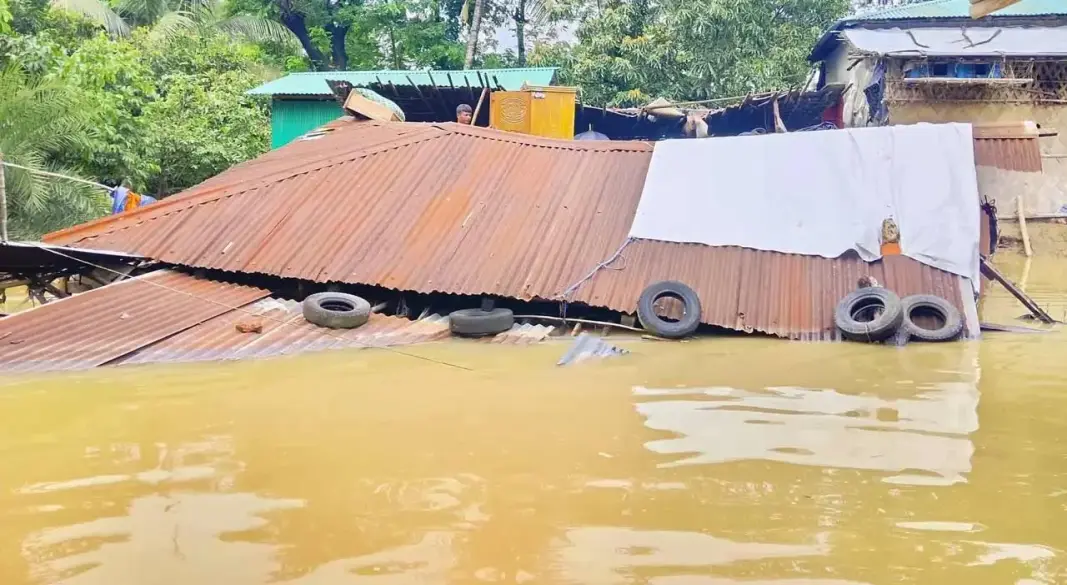 ছবি: সংগৃহীত