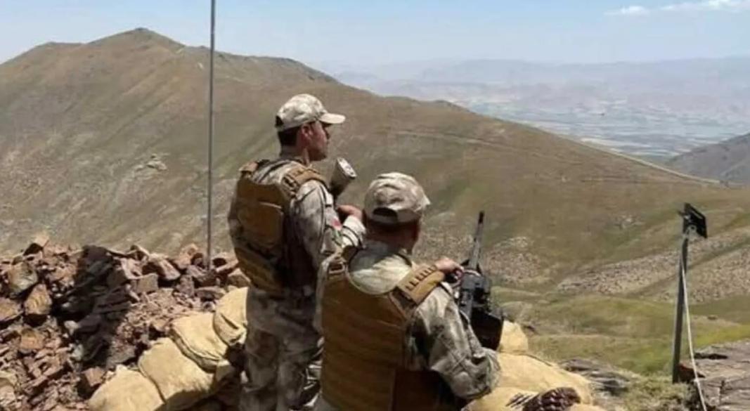 ছবি : সংগৃহীত