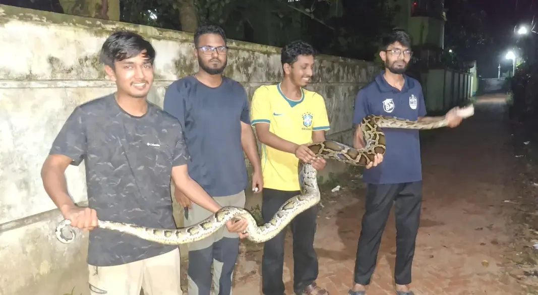 ছবি: সংগৃহীত