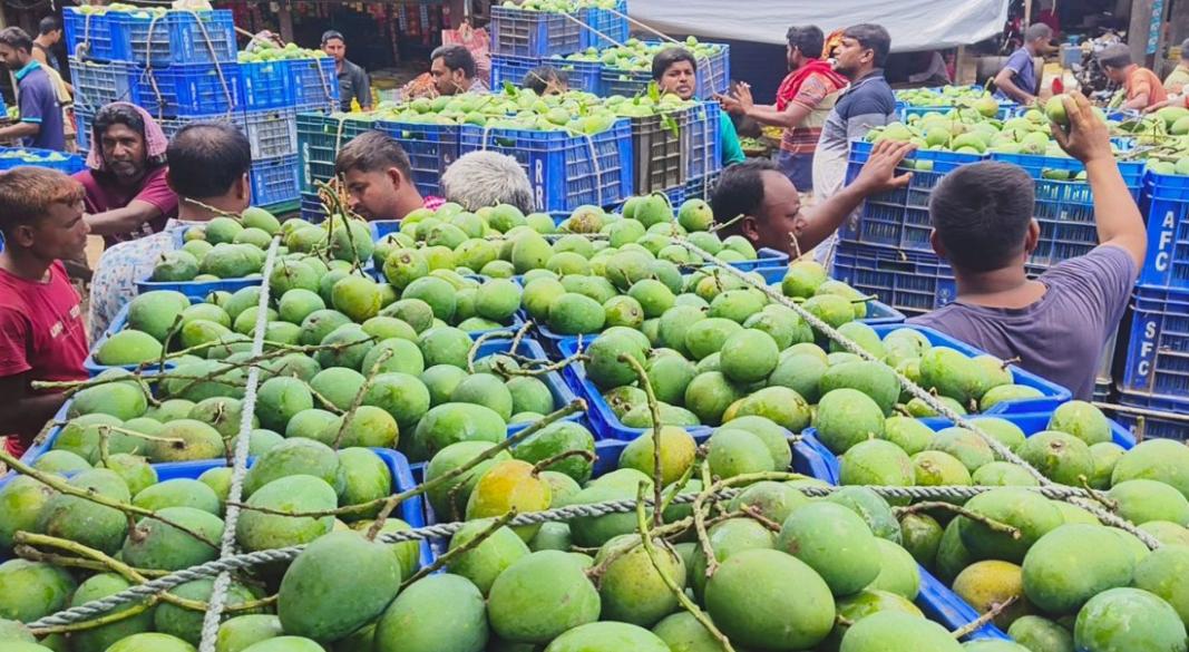 ছবি : সংগৃহীত