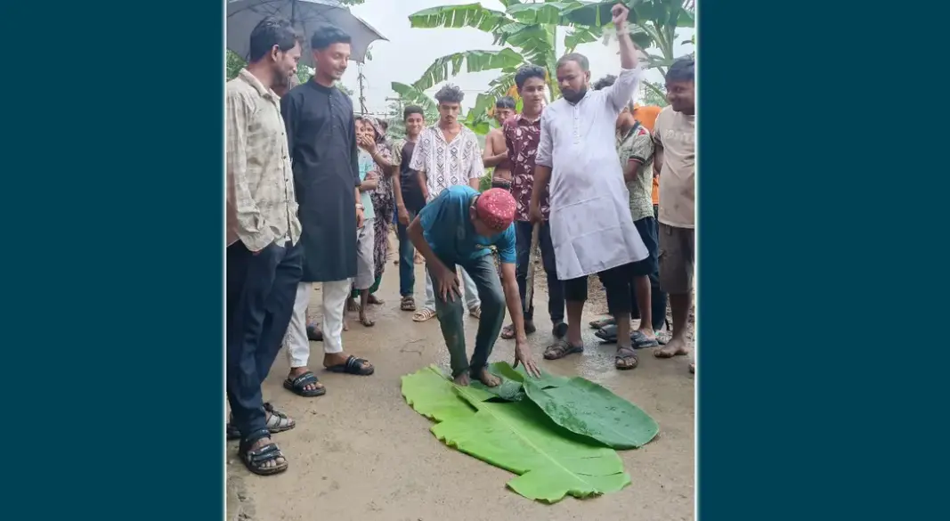 ছবি : সংগৃহীত