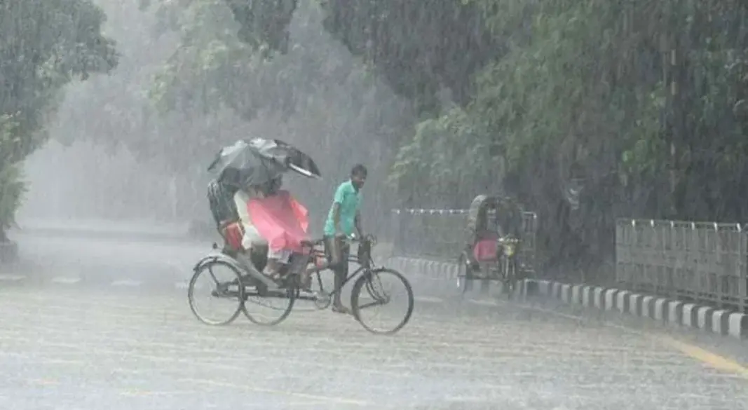 ফাইল ছবি।