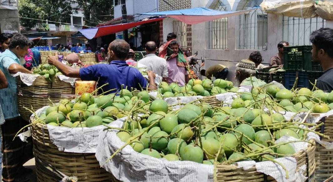 ছবি : সংগৃহীত