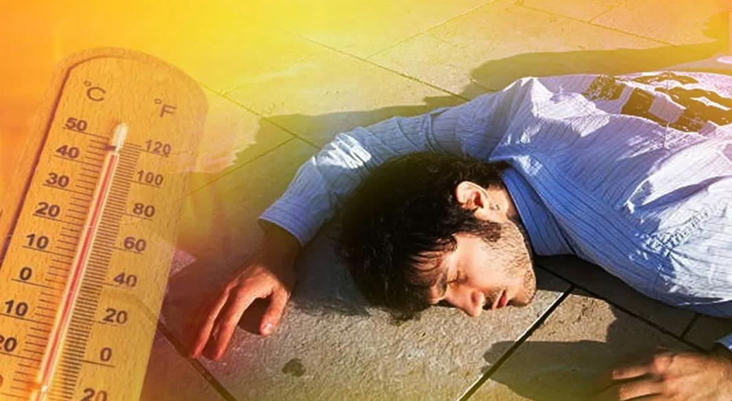 ছবি : সংগৃহীত