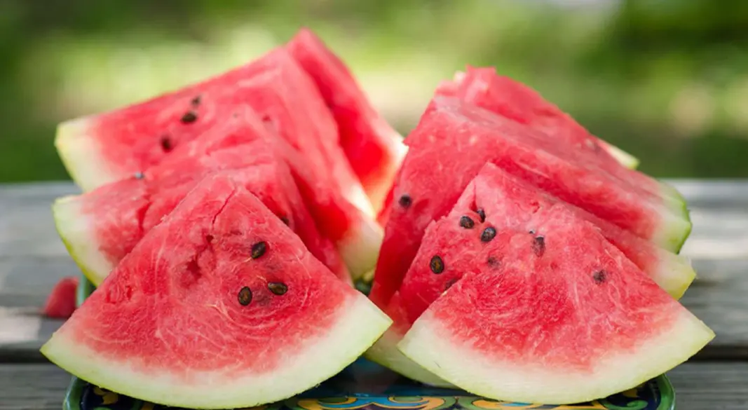 ছোটবেলা থেকেই প্রচলিত একটি ধারণা, তরমুজের বীজ গিলে ফেললে বিপদ হতে পারে | ছবি : সংগৃহীত