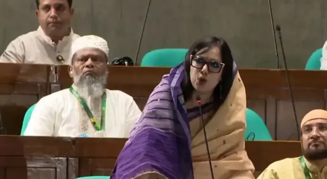 বক্তব্য রাখছেন রুমিন ফারহানা। ছবি : সংগৃহীত