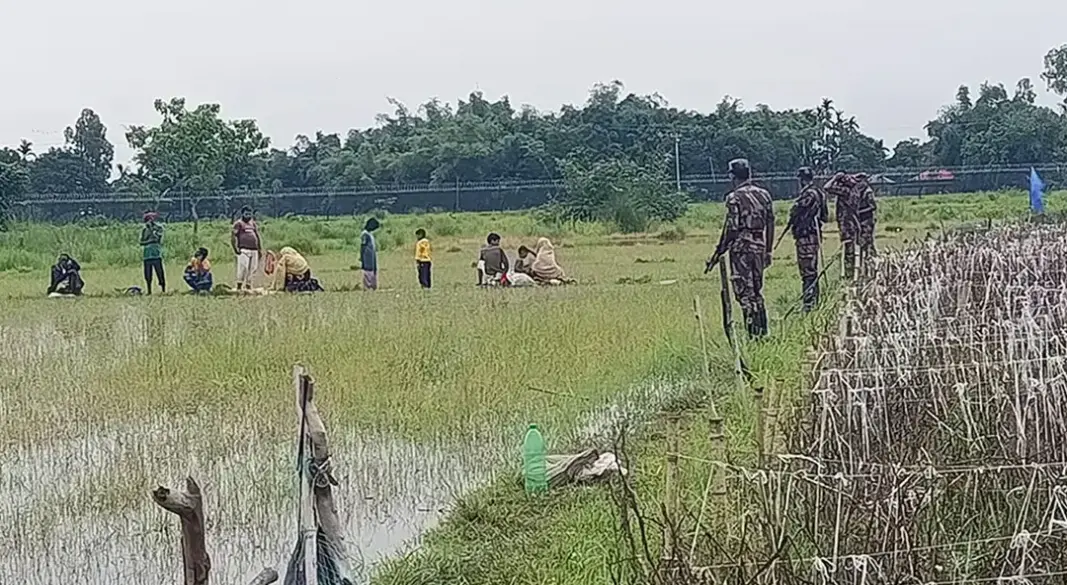 ছবি : সংগৃহীত