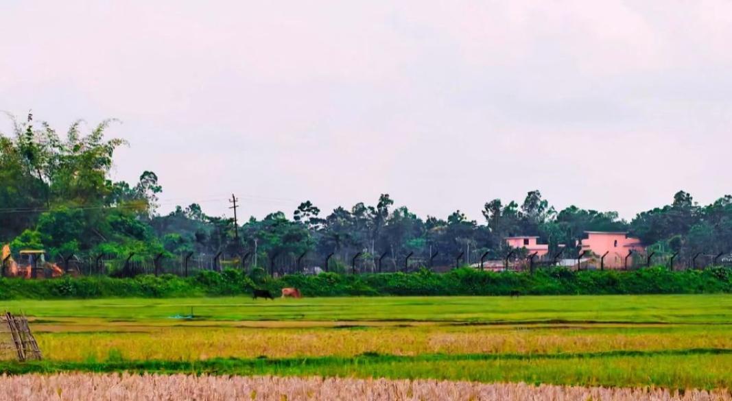 ছবি : সংগৃহীত