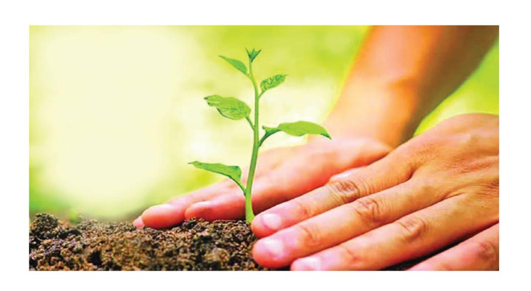 প্রতীকী ছবি