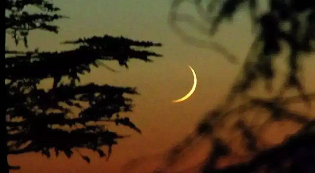 চাঁদ। ছবি : সংগৃহীত