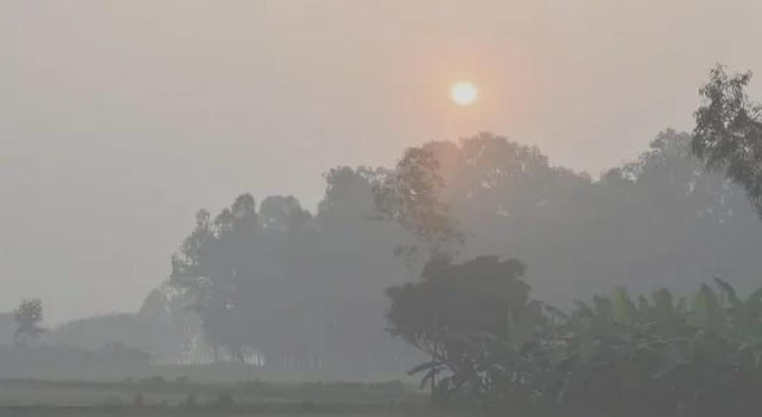 ছবি : সংগৃহীত