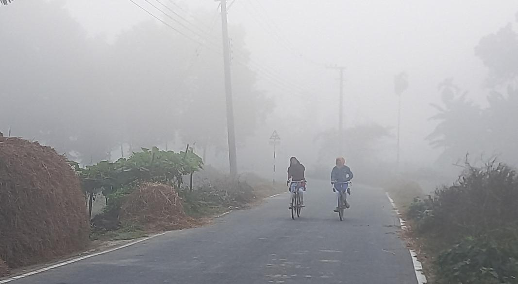 ছবি : সংগৃহীত