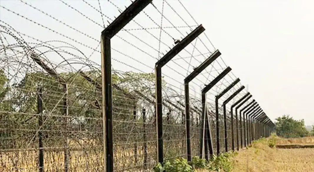 ফাইল ছবি