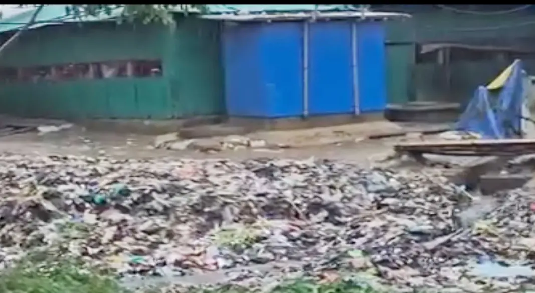 ছবি : সংগৃহীত