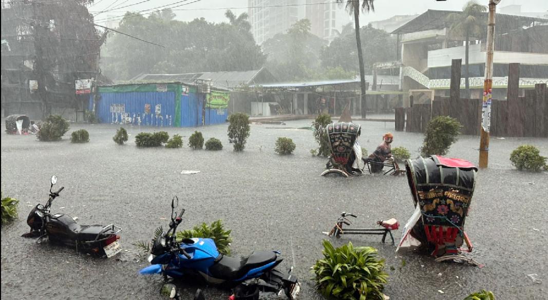 ছবি : সংগৃহীত