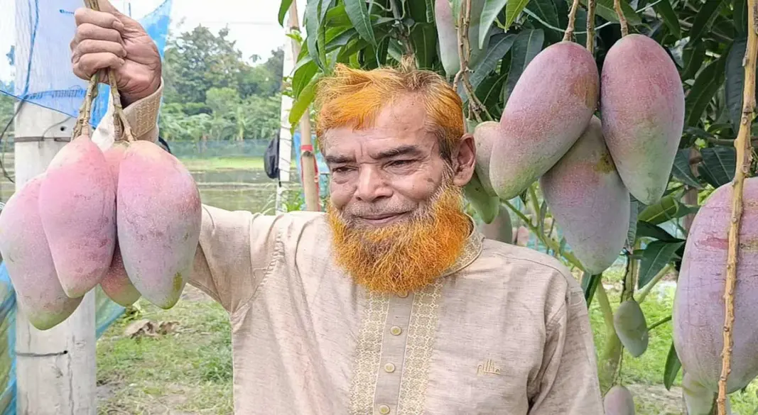 ছবি: সংগৃহীত