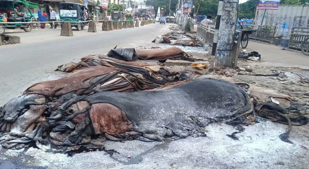 সংগৃহীত ছবি