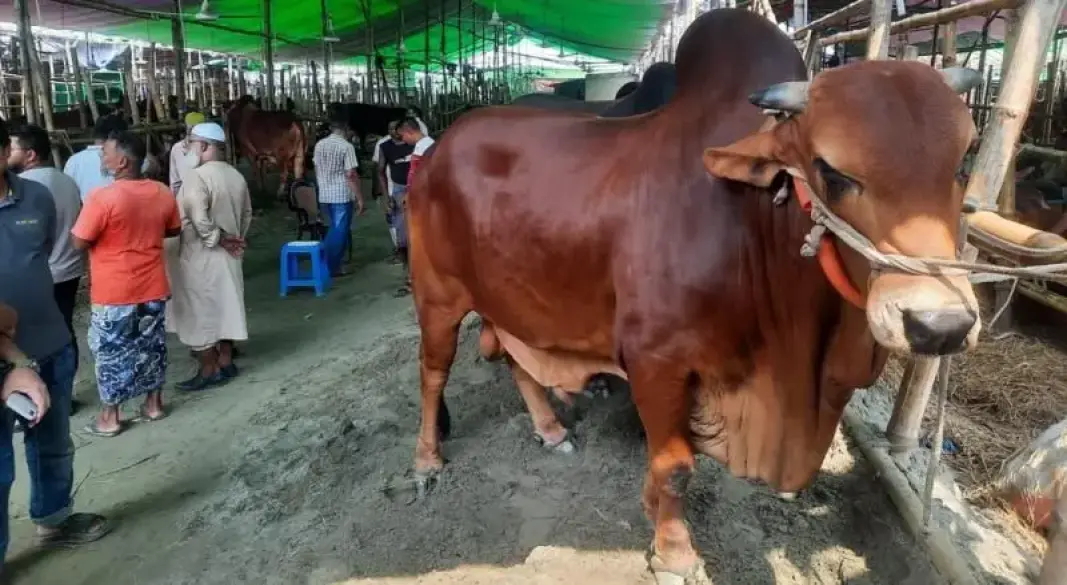 ছবি : সংগৃহীত