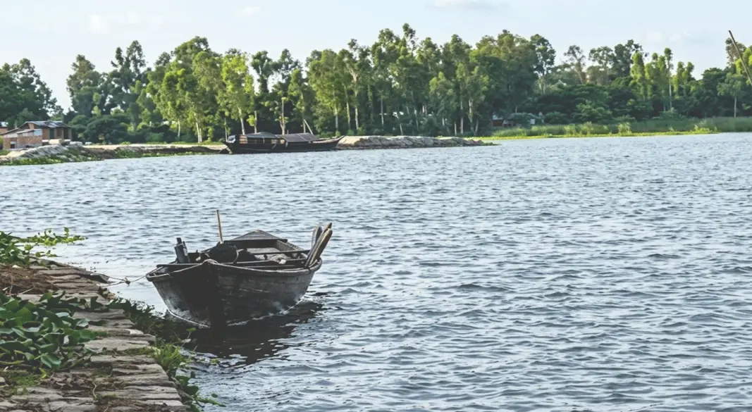 ফাইল ছবি