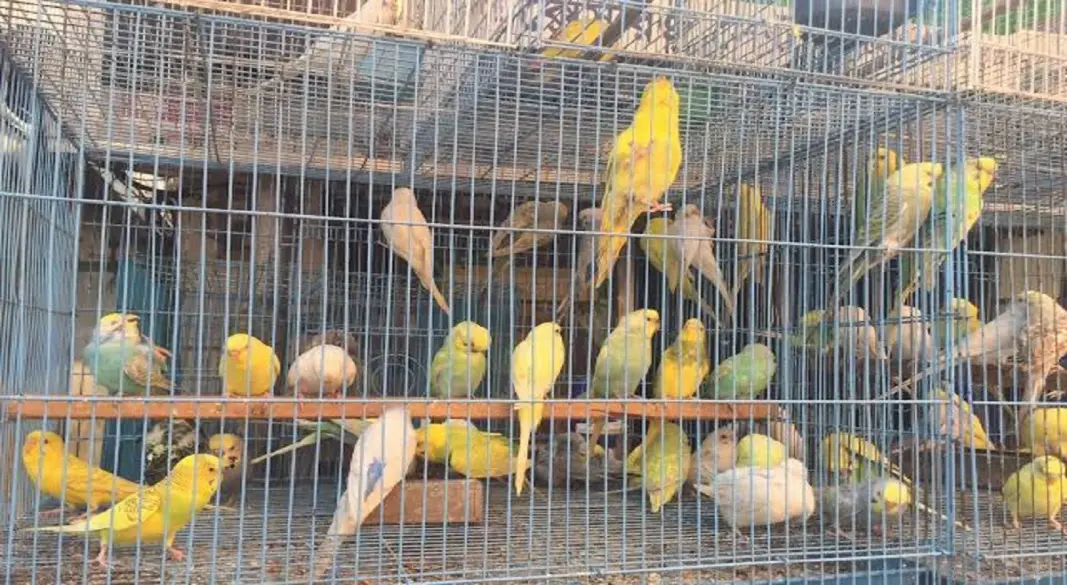 প্রতীকী ছবি