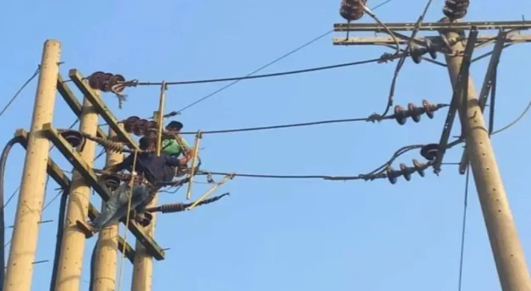 ফাইল ছবি